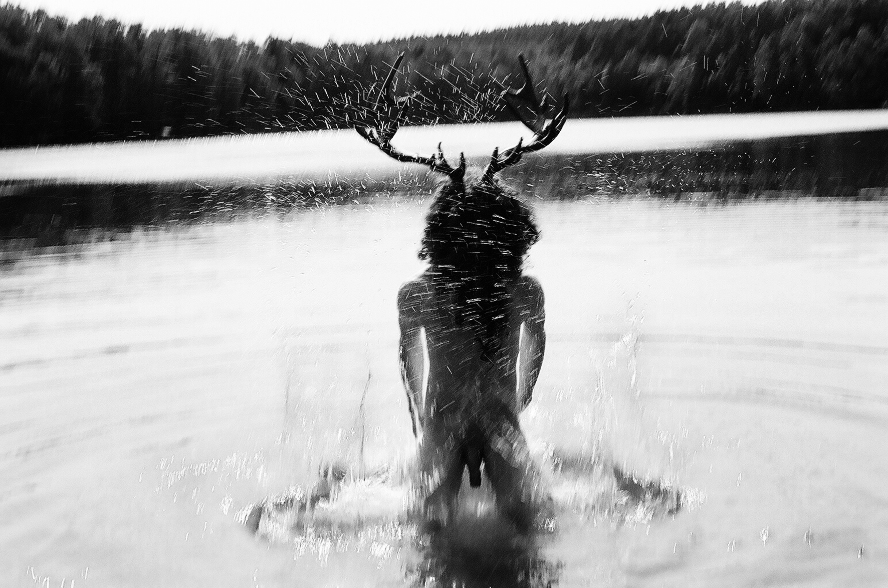 Free Work 8 nude 9